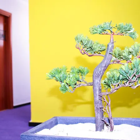 Ξενοδοχείο Princesa Solar 4* - Adults Recommended Τορρεμολίνος